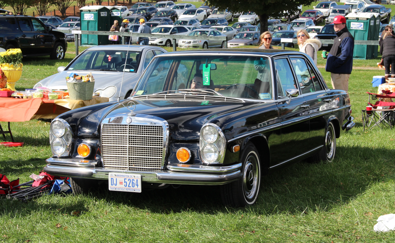 Illustration for article titled Car Spotting at the Virginia Gold Cup
